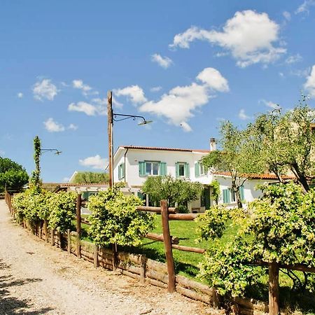 Gli Olivi Bed & Breakfast Formello Dış mekan fotoğraf