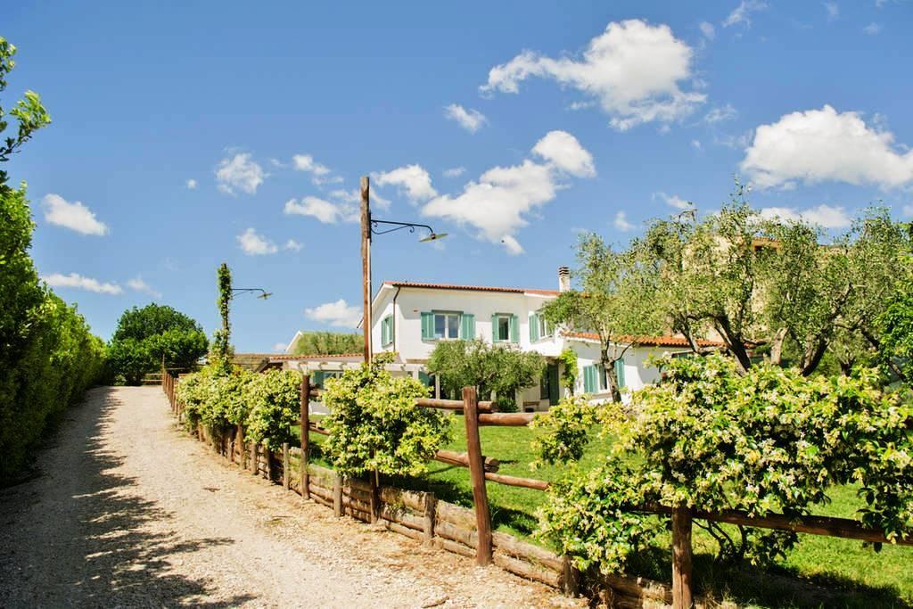 Gli Olivi Bed & Breakfast Formello Dış mekan fotoğraf